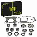 Комплект подшипников ГАЗ-3110 с шарик.подш. КПП 5ст.полный TRIALLI